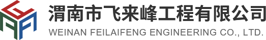 渭南市飞来峰工程有限公司